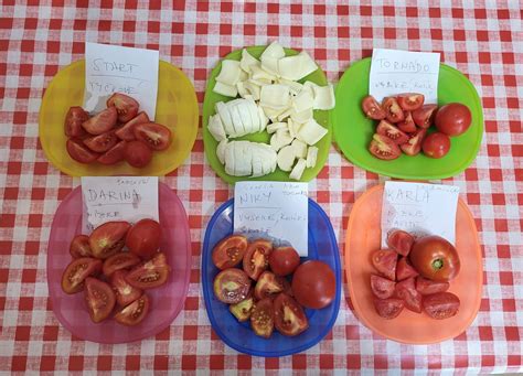 Ilustrácia rôznych druhov paradajok