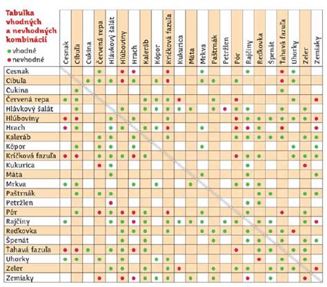 Schéma výsadby zeleniny s vyznačením vhodných a nevhodných susedov pre uhorky