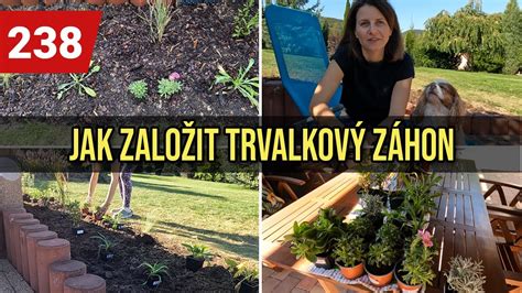 Schéma výsadby rajčín v záhone