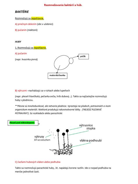 Ilustrácia pestovania húb