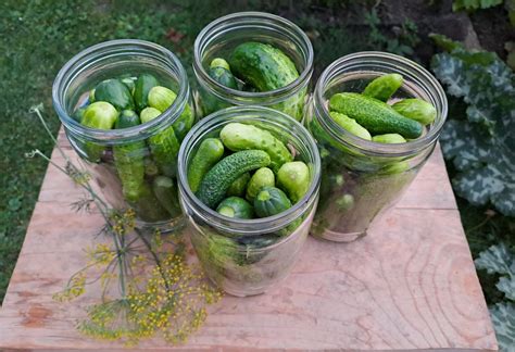 Zavárané uhorky v pohároch