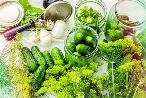 Proces sterilizácie uhoriek