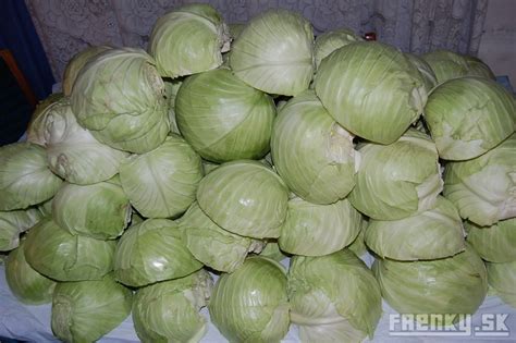 Cesnakové hlavy pripravené na nakladanie