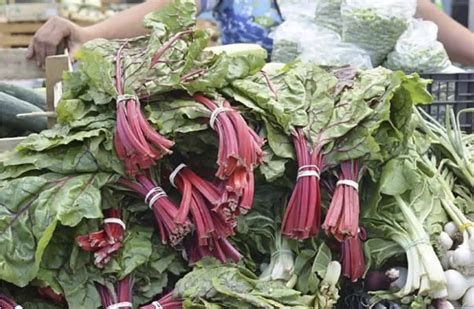 Ilustrácia červenej repy a jej listov