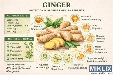 Infografika s nutričnými hodnotami zeleru