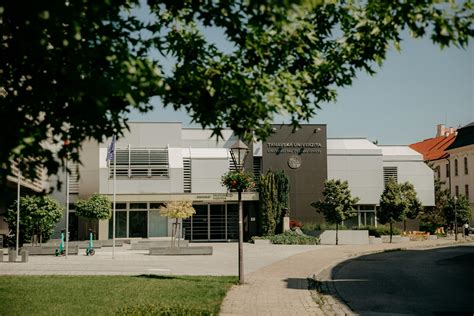 Študenti pri štúdiu