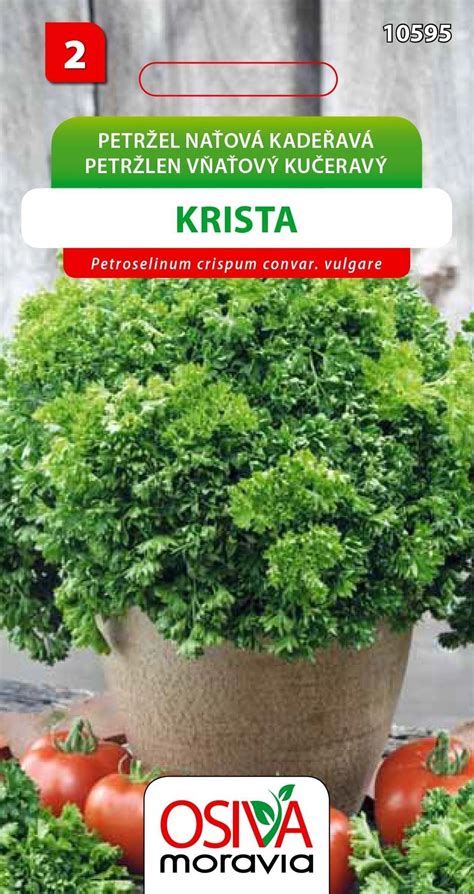 Kučeravý petržlen