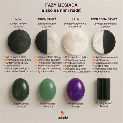 Infografika zobrazujúca fázy vývoja zemiakovej rastliny