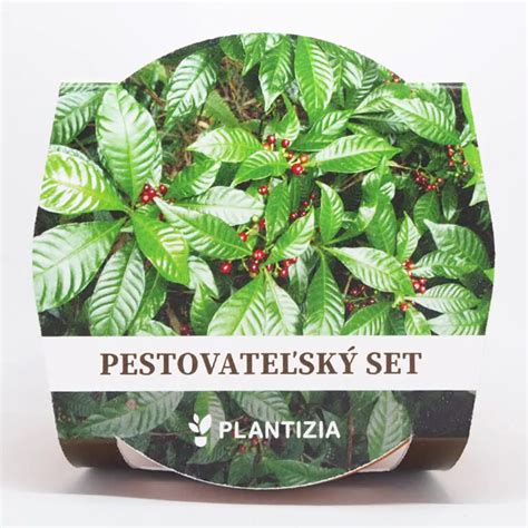 darčekový pestovateľský set
