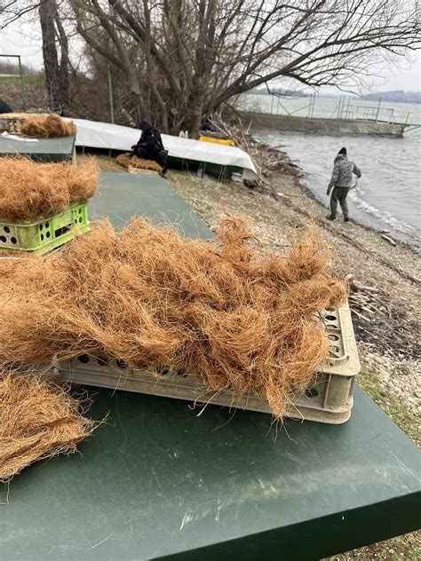Výroba kokosového vlákna