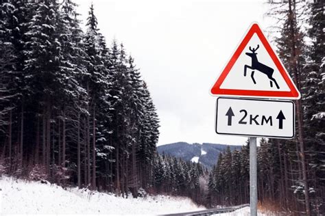 Značka upozorňujúca na zver na ceste