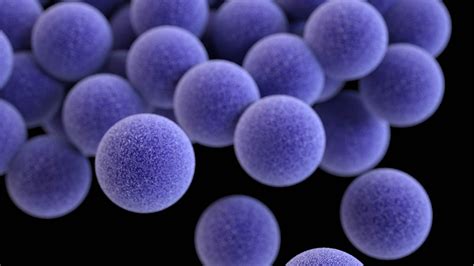 Kožná infekcia spôsobená Staphylococcus aureus