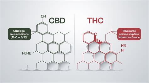 Schéma porovnania obsahu THC a CBD v rôznych odrodách konope