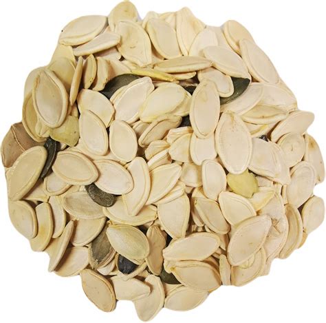 Tekvica a tekvicové semienka