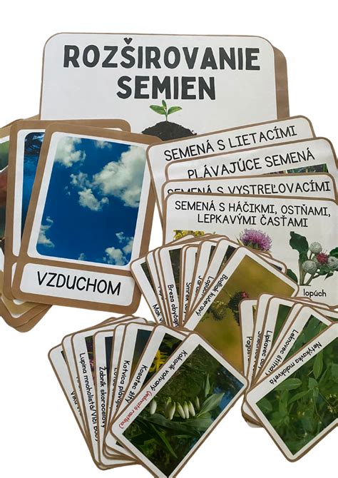 Tabuľka s postupmi zberu semien rôznych rastlín