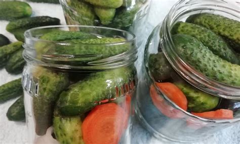 Čerstvo zozbierané uhorky