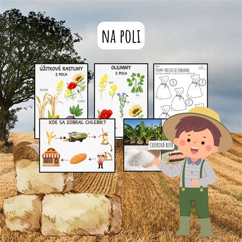 Rastliny ľanu na poli