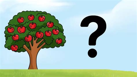 Ilustrácia jabĺk a banánu