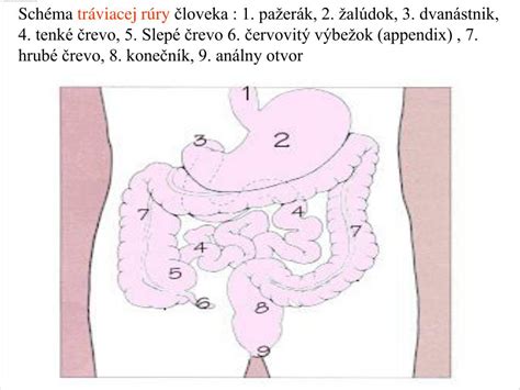 Schéma tráviacej rúry s jedným otvorom