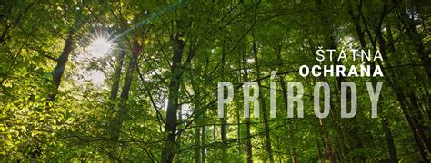 Ilustrácia právneho dokumentu alebo symbol ochrany prírody