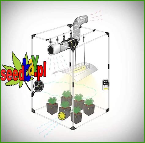 Ilustrácia indoor pestovania marihuany