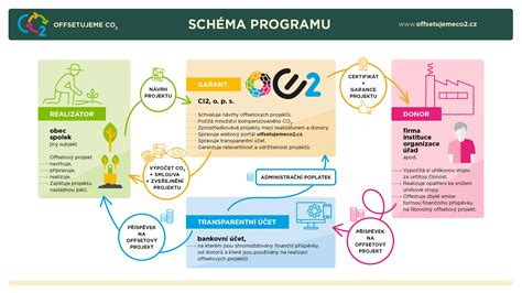 Schéma detoxikačného programu