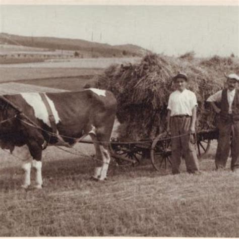 Archívna fotografia drotára pri práci
