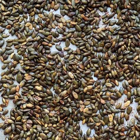 Pečené tekvicov semienka