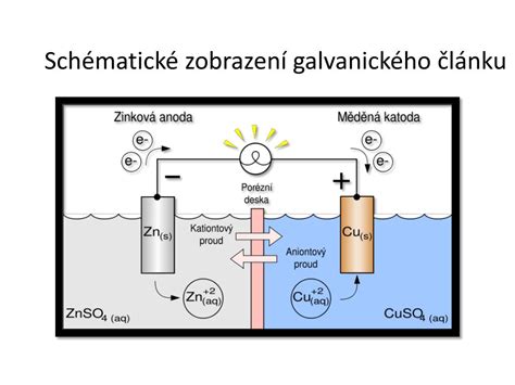 Schéma galvanického článku v zemiaku