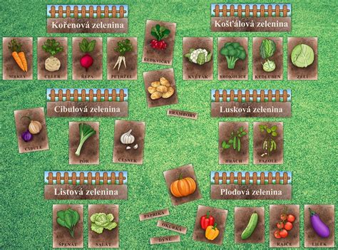 Rôzne druhy zeleniny a byliniek pestované vo fóliovníku