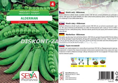 Hrach pestovaný s oporou