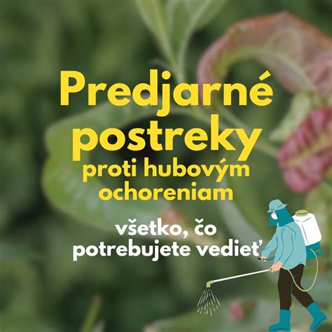 Príznaky cerkospórovej škvrnitosti listov