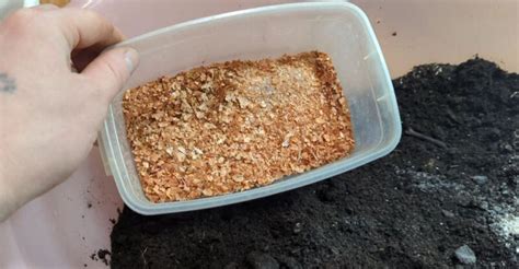 Zloženie kvalitného substrátu pre sadenice