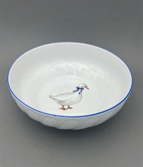Rôzne druhy porcelánu s motívom husí