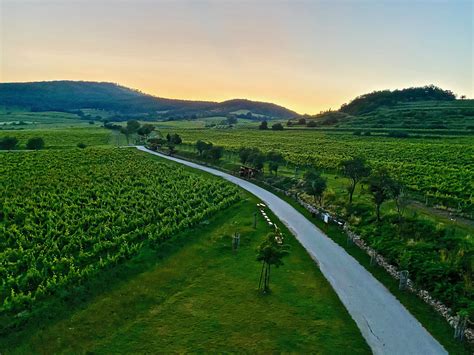 alsaské vínne cesty