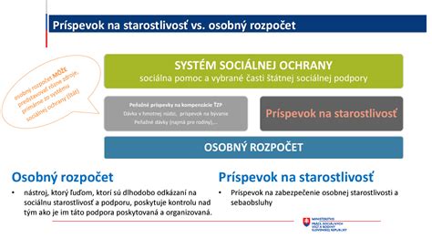 Grafické znázornenie foriem sociálnych služieb