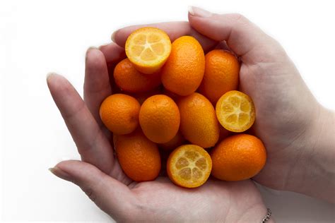 Vzhľad plodov kumkvatu