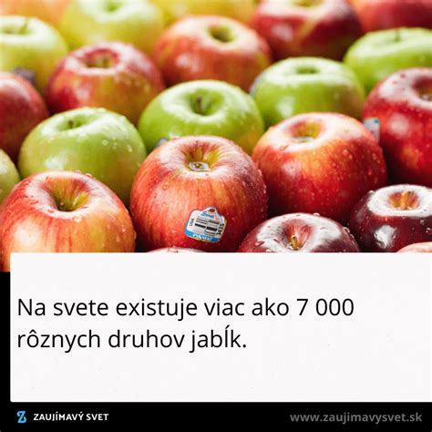 Ilustrácia rôznych druhov jabĺk