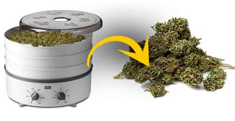 Proces dekarboxylácie konope v rúre