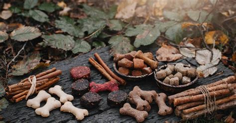 Tabuľka s odporúčanými dennými kŕmnymi dávkami pre psov