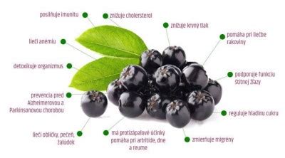 Rozmanité ovocie vhodné na výrobu štiav