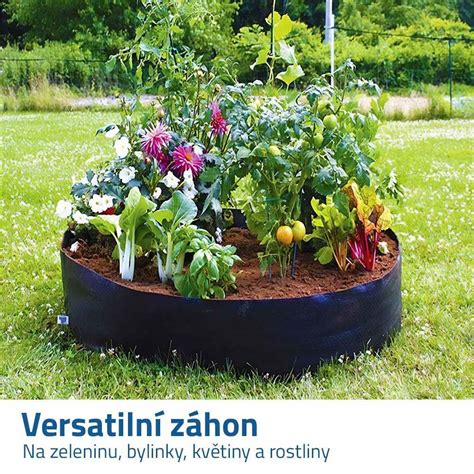 Záhon s pestovanou kvakou