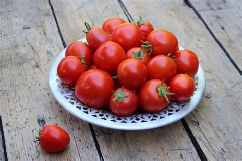 Čerstvé a konzervované paradajky