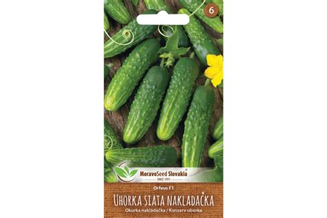 Štruktúra semena uhorky