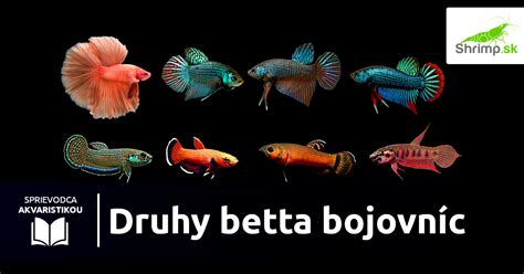 Rôzne druhy bojovníc