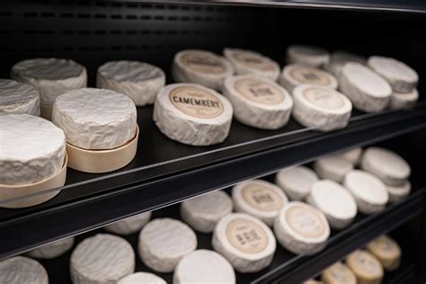 Ilustračná fotografia rôznych druhov nakladaných syrov vo fľašiach