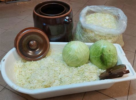 Čerstvá kapusta pripravená na varenie