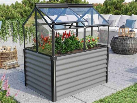 Záhon s paradajkami