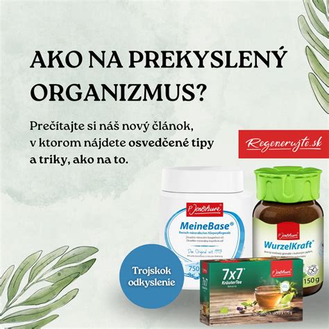 Schéma účinkov kuracieho vývaru na organizmus