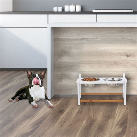 Misky s tvarohom a vajíčkom pre psa